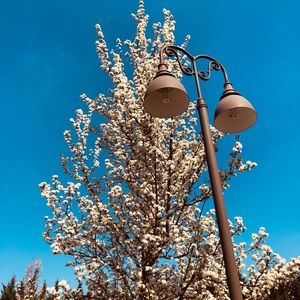 Meet your Posher, Debolina